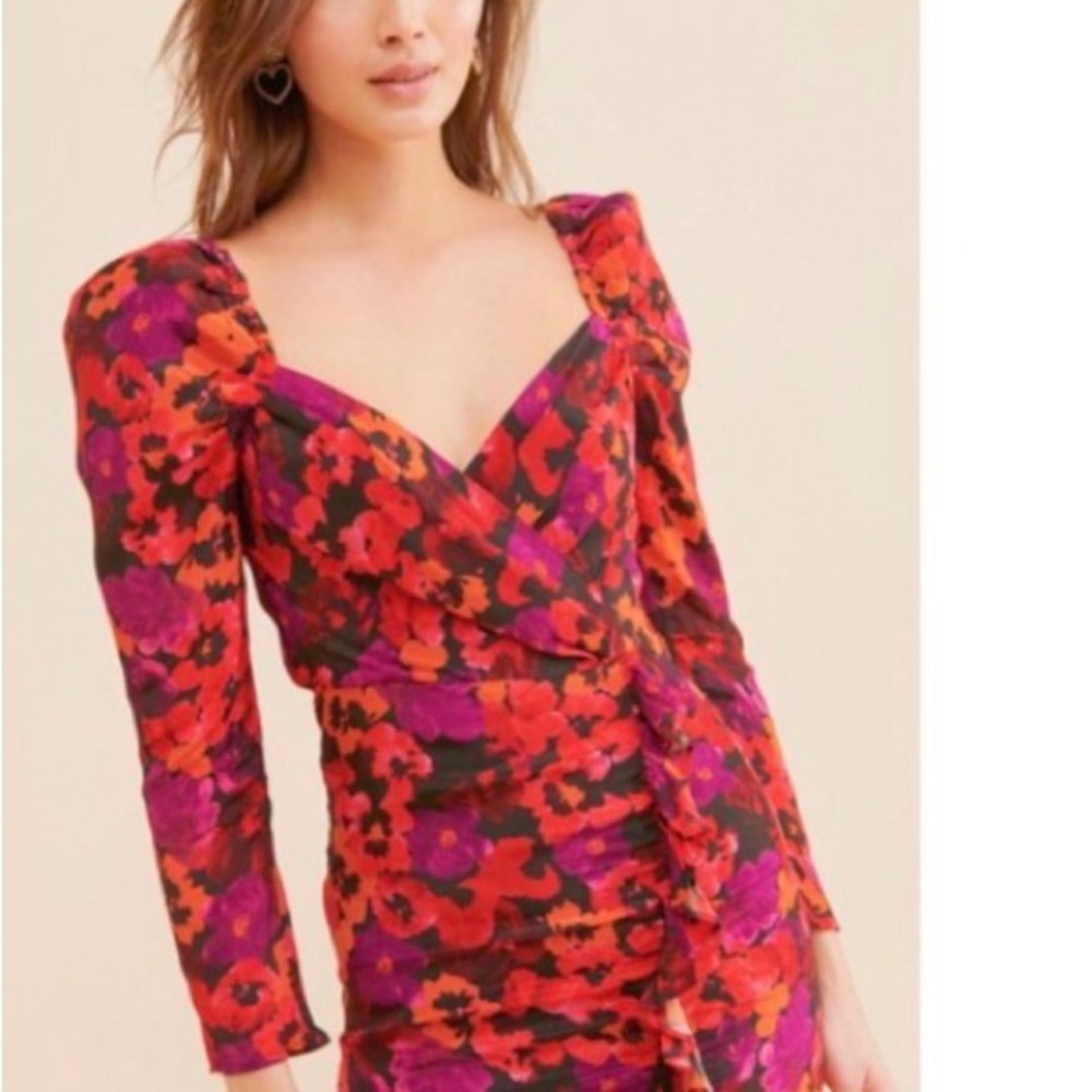 Saylor Alouette Painterly Poppy Floral
Mini Dress Small